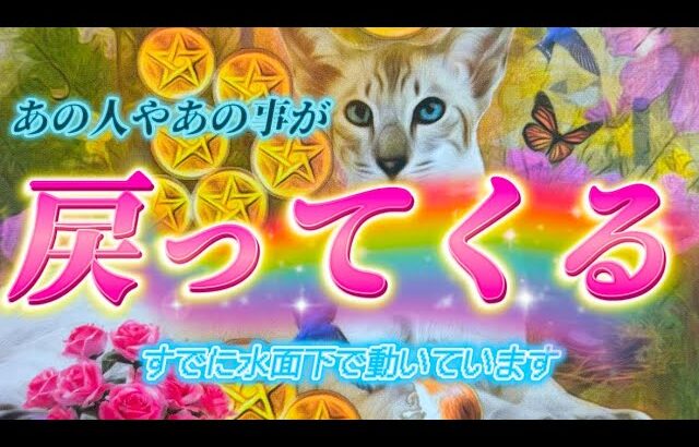 【遂にくる！】大切な人や物事があなたに戻ってくる✨またつながるご縁を視ます💗復縁・復活・再開　恋愛　仕事　個人鑑定級　透視タロット占い