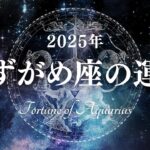 【占い】時代が追いついた！？カリスマ性発揮の1年に！2025年みずがめ座の運勢！【西洋占星術 水瓶座】