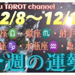 どうなる⁉️【12/8〜12/14週間リーディング】天秤座♎️蠍座♏️射手座♐️山羊座♑️水瓶座♒️魚座♓️#2024 #星座別 #タロット占い