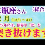 【水瓶座の総合運】 2024年12月のみずがめ座の運勢。星とタロットで読み解く未来 #水瓶座 #みずがめ座