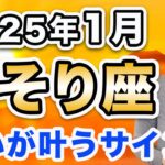 2025年1月 さそり座の運勢♏️ / 願いが叶うウィッシュカードが出た✨ 収穫を受け取れる🌈 本当に必要なものと不要なものの線引きが明確になる❗️【トートタロット & 西洋占星術】