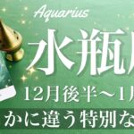 みずがめ座♒️2024年12月後半〜2025年1月前半🌝すごい…読み手もびっくりなリーディング、大きく変わる、遂に来る始動のとき