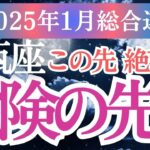 【水瓶座】2025年1月みずがめ座の運勢を徹底解説！水瓶座の星とタロットが語る希望のメッセージをお届けします！