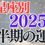 2025年上半期の運勢　12星座別