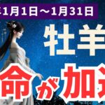 【牡羊座】2025年1月のおひつじ座の運勢は幸運続き！