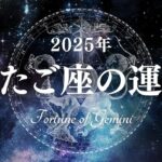 【占い】個人の哲学を追究し、急な変化に対応せよ！？2025年ふたご座の運勢！【西洋占星術 双子座】