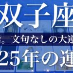 【ふたご座】2025年（年間保存版）♊️ 劇的な大逆転！最後の調整が入る、時が来た事をしる一年、復活とまさかのよみがえり