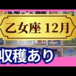 【乙女座♍12月運勢】うわっすごい！個人鑑定級のグランタブローリーディング✨ビッグな収穫と報酬あり！タイミングよく進むついてる時（仕事運　金運）タロット＆オラクル＆ルノルマンカード