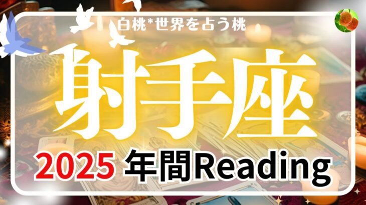 射手座♐️2025年間Reading★あの念願がついに始動。完全燃焼の一年。