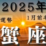 ❤️🕊️【かに座♋さん】🌄《2025年運勢》《2025年1月前半》リーディング🌱2025年12星座別🔮蟹座運勢✨♠ルノルマンカードグランタブロー♠タロットカード・オラクルカードもみていきましょう🔮