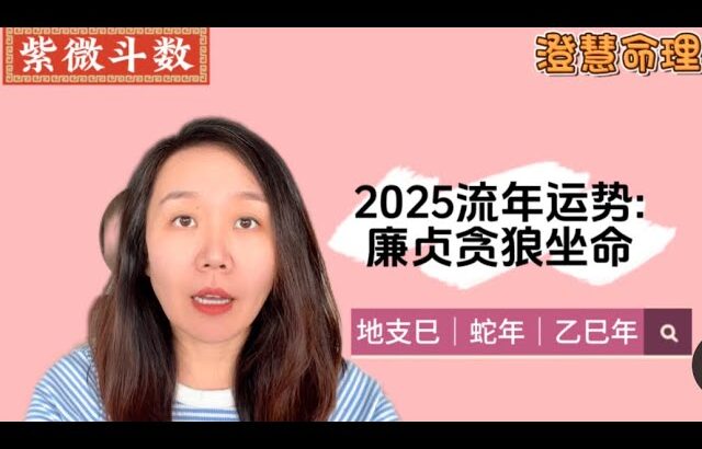 2025流年运势:廉贞贪狼坐命｜蛇年｜乙巳年