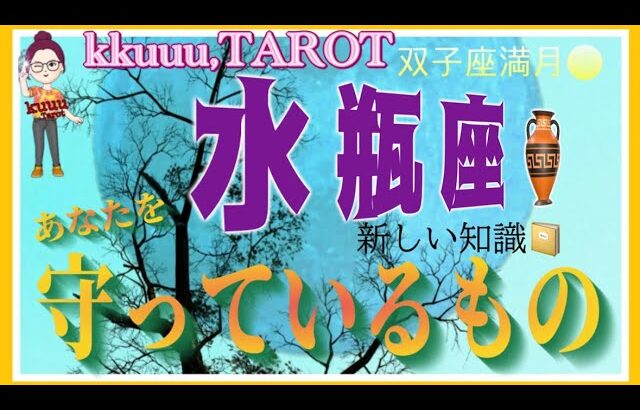 円滑な人間関係👥水瓶座♒️さん【双子座満月🌕〜あなたを守っているものとは⁉️】#2024 #星座別 #タロット占い