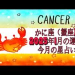 かに座（蟹座)・2025年1月の運勢｜今月の星占い.