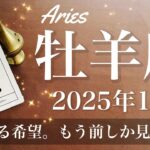 【おひつじ座】2025年1月♈️ここから浮上！出来上がる！完璧な土台、とても大きなものを引き受けていくタイミング