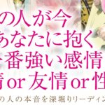 🔮恋愛タロット🌈あの人が今、あなたに抱く一番強い感情は、愛情 or 友情 or 性欲❔🌈お相手の隠れた本心が明らかに⁉️深掘りリーディング❗複雑恋愛・三角関係・音信不通・疎遠・片思い・曖昧な関係等…💗