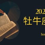 牡牛座2025年予想　「ほっとする」