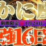 最強16日間【蟹座♋️】これをやれば絶対に最強の運勢になるよ！！　逆にこれをやったら最悪になっちゃう事もリーディングするよ！！【初天一天上】神々のシナリオシリーズ　#タロット占い