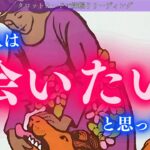 【もう限界！気持ちを抑えられない】あなたじゃなきゃいけない理由✨あの人は会いたいと思ってる？タロットカードで深堀りリーディング🍑