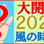 【手相 占い】2025年開運手相！激動の風の時代にを生き抜く手相とは？水森太陽が徹底解説！ #2025年の運勢