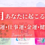 🌈重要🌈【2025年2月運勢🍫】2月あなたに起こること💫恋愛運・仕事運・金運・健康運・テーマ・アドバイス【タロット🌟オラクルカード】片思い・復縁・出会い・人生・未来・転職・人間関係・対人関係・悩み