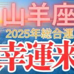 【山羊座】2025年総合運 やぎ座さん　見ないと損‼【最幸運来たる】