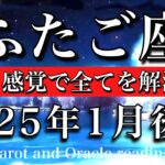 ふたご座♊︎2025年1月後半 全てがエネルギー源❤️‍🔥ゲーム感覚で全てを解消できる🪽Gemini tarot reading