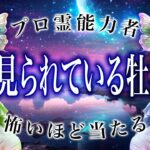 【牡羊座🔮1月の運勢】新たな出会いが待っている。霊視で判明した事実がヤバい…