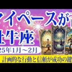 【牡牛座】2025年1月後半から2月前半のおうし座の運勢：希望と安定が共存する時期。計画的な行動と信頼が成功を引き寄せます。