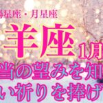 【1月前半🎍山羊座】太陽星座、月星座あ山羊座のあなたへ✨本当に望んでいることを見つけた？