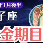 【双子座】2025年1月後半ふたご座、黄金期目前なのに…このままだとすべてを失うかもしれません