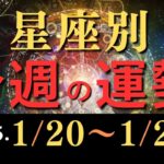 2025年1月20日〜1月26日の星座別運勢