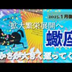 【１月後半🍀】蠍座さんの運勢🌈拡大繁栄の展開へ✨先出ししよう💕豊かさが大きく返ってくる！！！