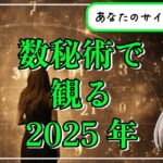 【数秘術で観る2025年予測】サイクル別にあなたの2025年を大予測