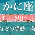 【かに座】週間リーディング（2025年1月20日〜1月26日）♋️心満たされる贈り物