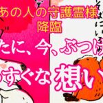 【守護霊リーディング】あの人の守護霊様から『呼んで‼️』と要請アリ😳よほど伝えたい事が⁉️