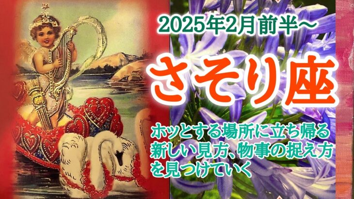 目からウロコの新しい見方を獲得👀さそり座♏️２０２５年２月1〜15日頃まで