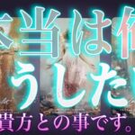 100%特異霊視で赤裸々❤️‍🔥本当は俺こうしたいんだよ。あの人の気持ち。辛口もあり。タロット✴︎復縁✴︎片思い✴︎両思い✴︎複雑恋愛