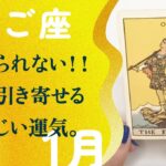 間違い無いでしょう！！奇跡が始まる2025年の世界。【1月の運勢　双子座】