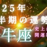 【牡牛座🎖️2025年上半期の運勢】大事な分岐点⭐️これぞ史上最強の大アルカナ祭り🎉✨タロット占い