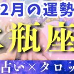 【2月運勢 水瓶座】お金を稼ぐチャンスやってきた！みずがめ座さんなら星を乗りこなせます🔥【占い・タロット・占星術・2025】