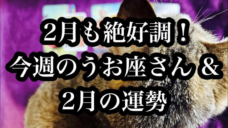 才能も人気もお金も恋も上昇中！今週のうお座さん＆２月のうお座さん。This week’s Pisces and February’s Pisces.