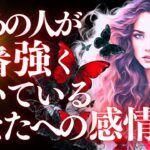 ❤️恋愛タロット💄今一番強くて熱いあの人の気持ち、リアルチェック。🌝蟹座満月にあの人はどう満ちた？二人のターニングポイント＆あの人からのメッセージ付📱💕 (2025/1/14)