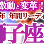 獅子座  年間ざっくりリーディング【大好転！運命の後押し感じる問題解決と自己の拡張】心の断捨離も大事　　しし座　2025年　タロットリーディング