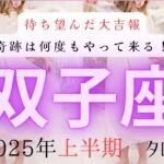 【謹賀新年❗️2025年上半期の運勢はいかに🫢】双子座　2025年上半期タロット占い　#タロットカード #占い #大恋愛タロット 占い #当たるタロット #2025年#ツインレイ#運勢