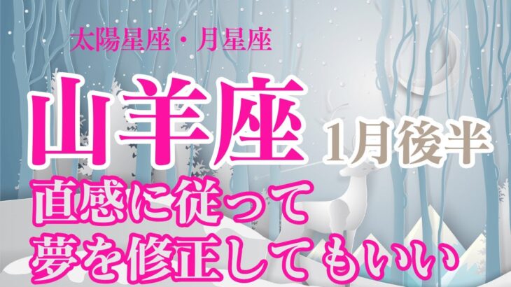 【1月後半🦌山羊座】太陽星座、月星座山羊座のあなたへ✨直感がきたら、もう新年の目標を修正してもいいよ