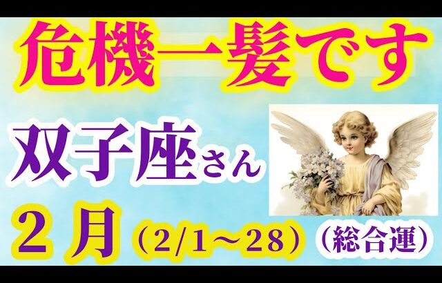 【双子座の総合運】2025年2月1日から28日までのふたご座の総合運。#双子座 #ふたご座