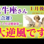 【牡牛座の総合運】2025年1月16日から2月15日までのおうし座の総合運。#牡牛座 #おうし座