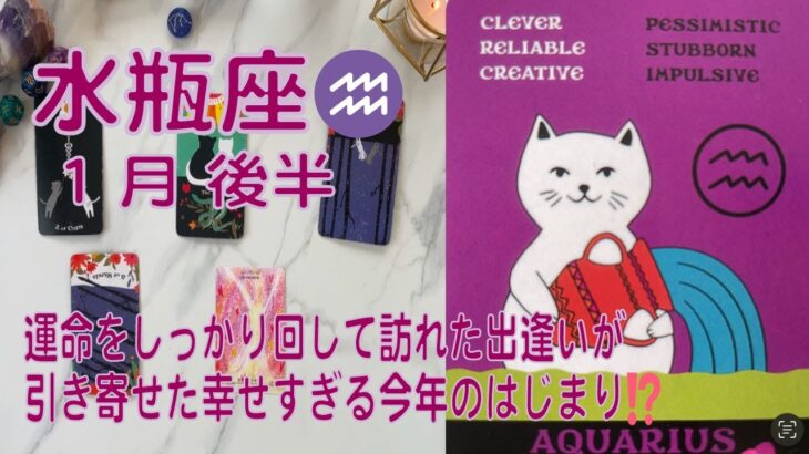 【水瓶座】♒️⭐️1月後半⭐️推しさんなの？ソウルメイトなの？運命的な出逢いによって刺激的な年明けが始まりました❣️今は引き寄せた出逢いを思う存分楽しんで#水瓶座 ＃推し活 ＃タロット＃みずがめ座