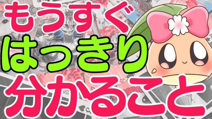 【今すぐ見て】もう明らかになります。今まで隠されていた事実や出来事を占ったら驚愕の展開が出てしまいました……