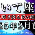 いて座♐︎2025年2月前半 焦らないで良し🔥未来に咲き誇る花の種をまく🌸Sagittarius tarot  reading